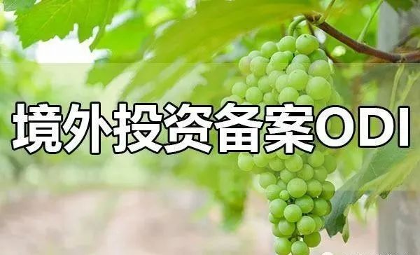 微信图片_20220914210405.jpg